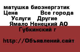 матушка-биоэнергэтик › Цена ­ 1 500 - Все города Услуги » Другие   . Ямало-Ненецкий АО,Губкинский г.